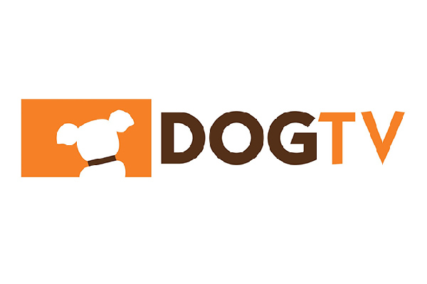Dog Tv